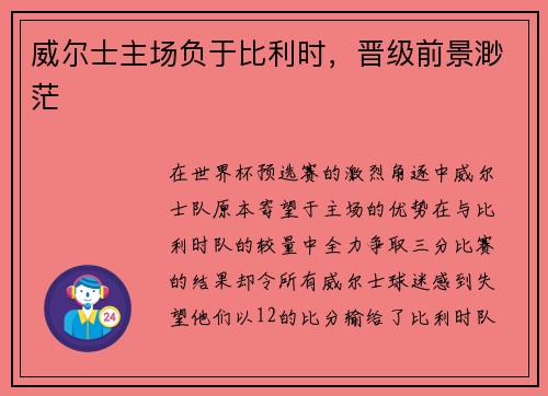 威尔士主场负于比利时,晋级前景渺茫 威尔士主场负于比利时,晋级前景渺茫