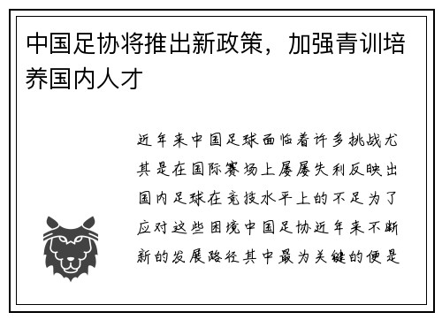 中国足协将推出新政策,加强青训培养国内人才 中国足协将推出新政策,加强青训培养国内人才